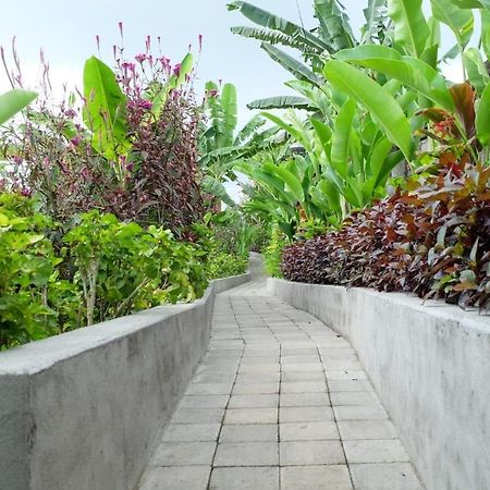 Rendira Villa 2 Ubud Kültér fotó
